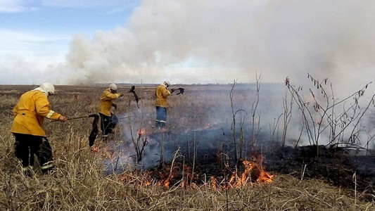 Detuvieron a una cuarta persona por intentar prender fuego en las islas del Paraná