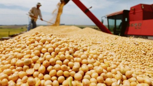 Qué es lo que el campo le reclama a Massa: el análisis de Gabriela Origlia