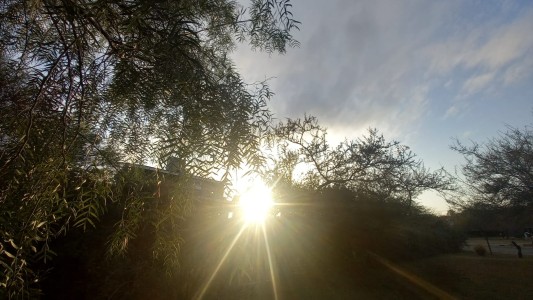 Alerta por fuertes vientos, moderado ascenso de temperatura, máxima de 16°