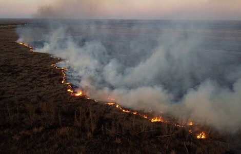 Incendios en las islas del Delta: comenzaron los despliegues militares