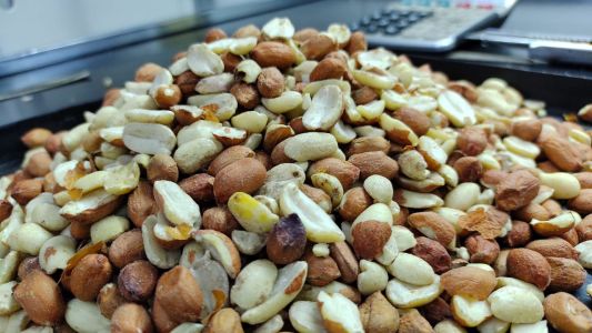 Se sembró un 30% menos de superficie en Trigo