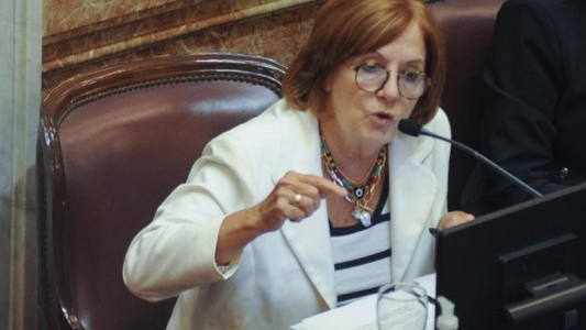 Transporte público: la senadora Alejandra Vigo insiste por el boleto federal