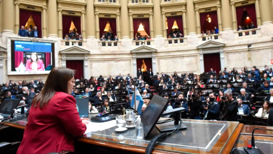 Diputados votó por unanimidad el repudio al atentado contra la Vicepresidenta