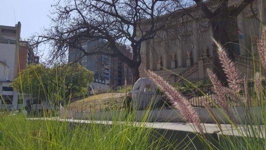 Así estará el clima en Córdoba en las próximas horas
