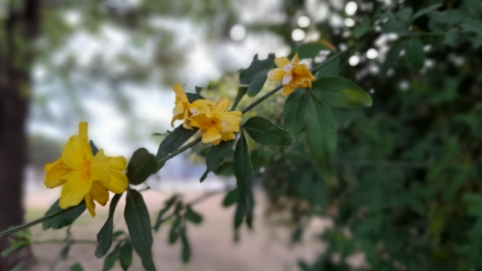 Ambiente frío, lluvioso, poco aumento temperatura, máxima de 19°