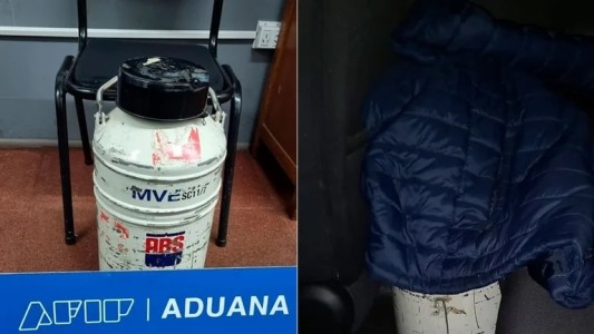 Contrabando: la Aduana secuestró un recipiente con semen de toro valuado en US$ 500.000