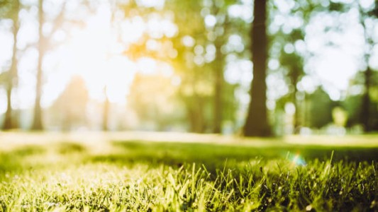 Buen tiempo, estable, aumento de temperatura, máxima de 25°