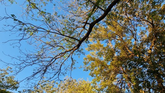 Comienza un fin de semana de primavera