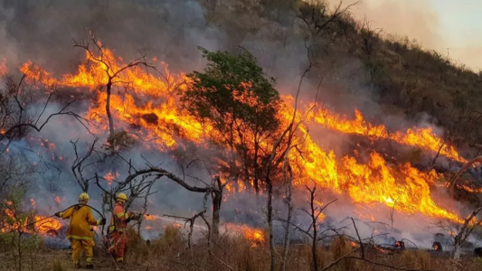 Bomberos combaten incendio en Cuchi Corral