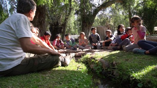 El cuidado del medioambiente: Aprendemos a reciclar