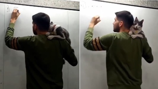Video: profesor da clases con un gato al hombre para "concientizar"