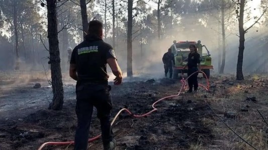 Inició una quema de pastizales en su campo: terminó incendiando 15 hectáreas de monte y pinos