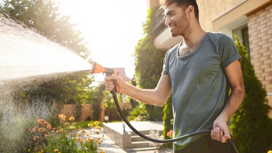 ¿Cómo regar tus plantas en primavera?