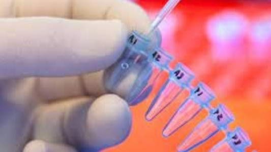 Empresario debe indemnizar a su hija, por desconocerla hasta los 40 años