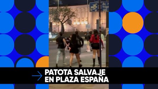 Brutal golpiza a un joven en la Plaza España: 5 detenidos
