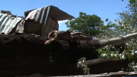 Un árbol cayó sobre una casa en Córdoba