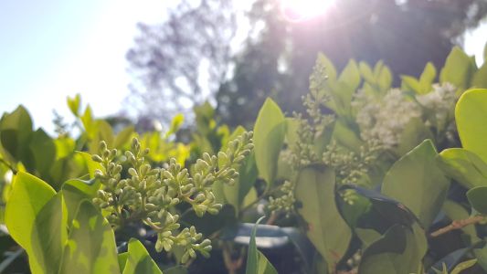 Sábado templado, domingo frio