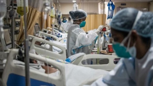 Detectan los primeros dos casos del hongo Candida auris en la Argentina