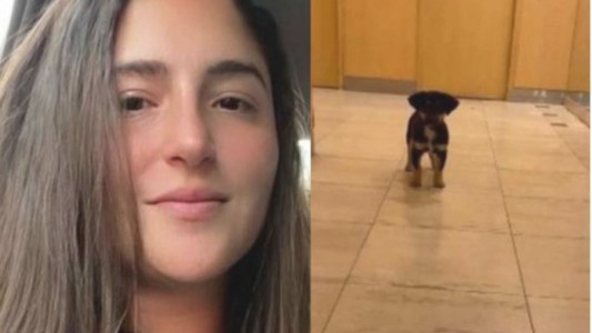 Citan a indagatoria a la joven que le sacó el perro a un hombre en situación de calle