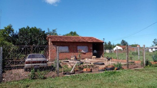 Dos hermanos intentaron robar gallianas y murieron electrocutados