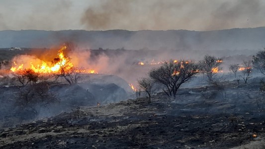Aumenta la temperatura y el riesgo de incendios