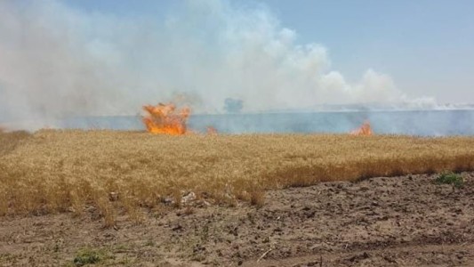 Ardieron 45 hectáreas de trigo en las afueras de Rosario