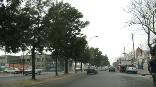 Un joven fue detenido por apedrear un auto con fines de robo