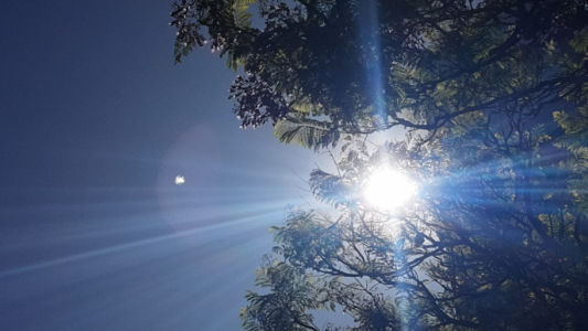 Alerta amarilla por altas temperaturas, máxima de 39°