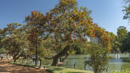 Hallaron a un alumno del Lengüitas con un disparo en la cabeza en los bosques de Palermo