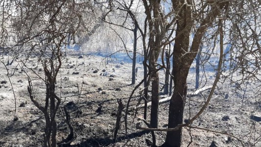 Bomberos controlaron el incendio en Ambul