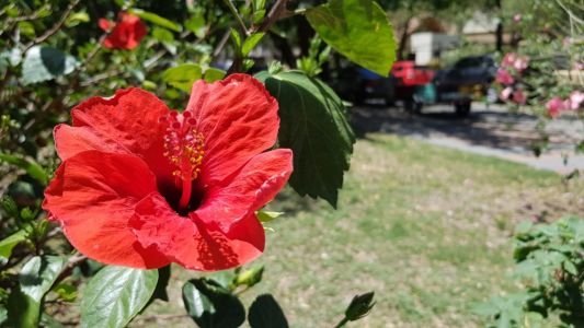 ¿Llega el alivio a Córdoba?