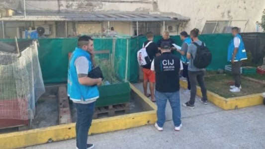 Desbarataron un criadero ilegal de perros que estaba en el predio de un jardín de infantes