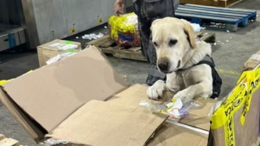 Hallaron más de 17 kilos de hachís ocultos en una aspiradora enviada por encomienda desde Estados Unidos