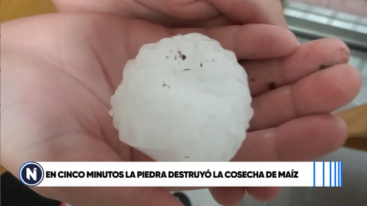 En 5 minutos la piedra destruyó la cosecha de maíz