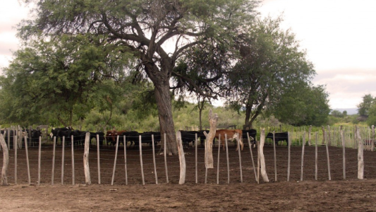 Sequía: la Comisión Provincial elevó el pedido de Emergencia Agropecuaria