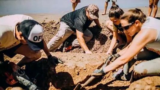 Hallaron los restos de dos gliptodontes de tres millones de años en Chapadmalal