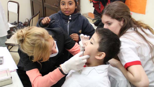 Certificado Único de Salud: dónde y cómo gestionarlo