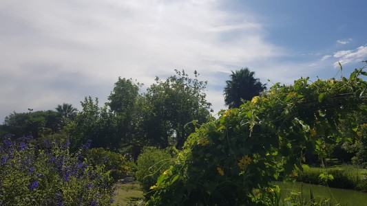 Lunes con máxima de 32° y alerta por tormentas