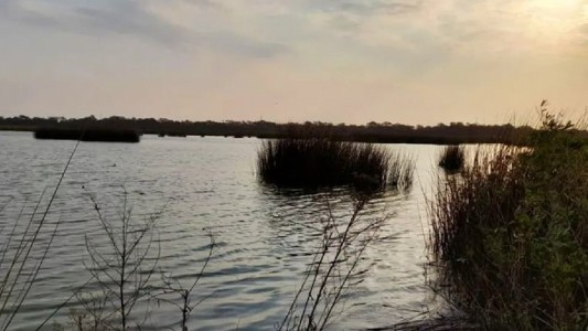 Gripe aviar: Detectaron un caso en Córdoba y ya es el segundo en Argentina