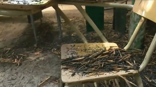 Incendiaron una escuela agraria de La Plata y no se sabe si podrán empezar las clases