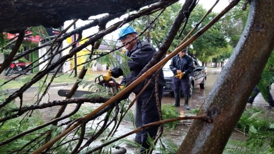 Lo que dejó el temporal en la provincia