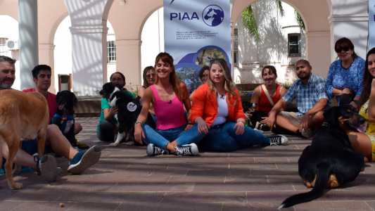 Diversidad: Binomio humano-animal: un equipazo