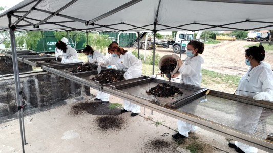 Inédita búsqueda por el crimen de Anahí Bulnes