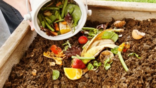Abrió la inscripción a curso gratuito de compostaje domiciliario
