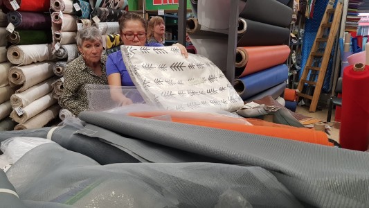 Dengue en aumento: Las telas mosquiteras se venden "como pan caliente"