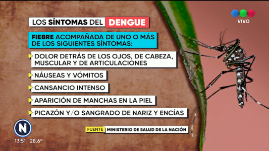 Alerta por casos de dengue: cómo prevenirlo y qué hacer ante un contagio