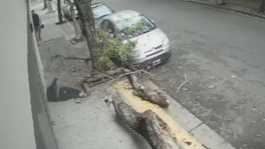 Rosario: una mujer resultó herida al caer un árbol sobre su cabeza