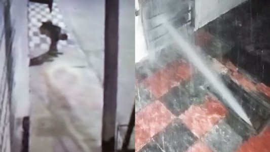 La industria del robo marginal no frena en el sudeste de la ciudad de Córdoba