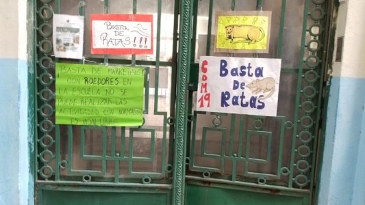 "Mapa de la Rata": Legisladora porteña releva los casos de presencia de ratas en escuelas