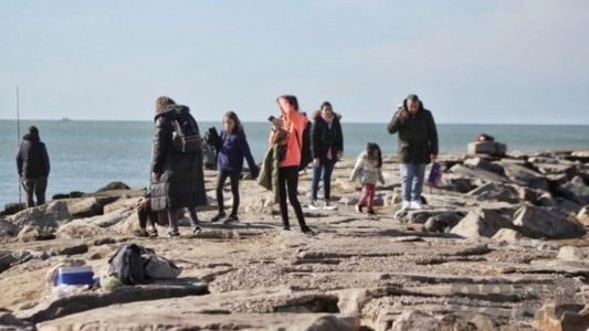 Más de 1.200 vehículos por hora hacia la costa atlántica por el fin de semana largo